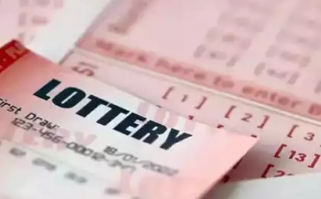 Explore the World of Lottery Games with WeLoveLotto