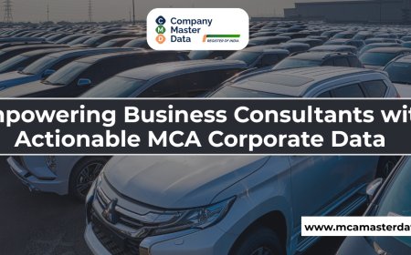Empowering Business Consultants with Actionable MCA Corporate Data