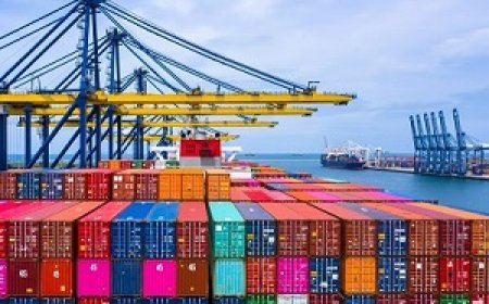 The Complete Guide to Buying Shipping Containers for Sale in Australia (2025)