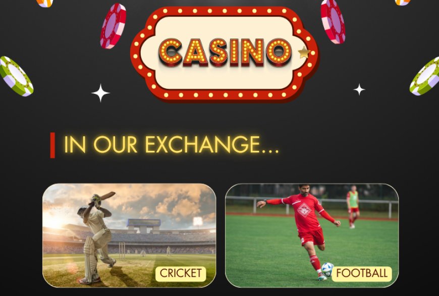 Why 11xplay Is the Best Platform for Online Gamers in 2025