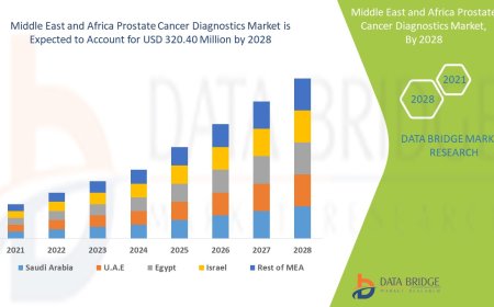 Middle East and Africa Prostate Cancer Diagnostics Market Gains Traction Amid Rising Screening and Health Awareness