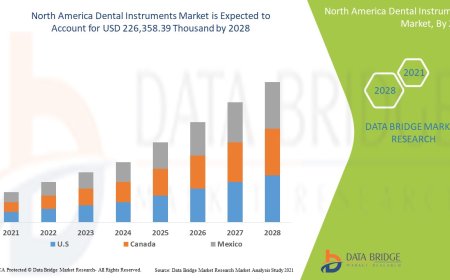 North America Dental Instruments Market Poised for Growth as Cosmetic and Restorative Dentistry Rise