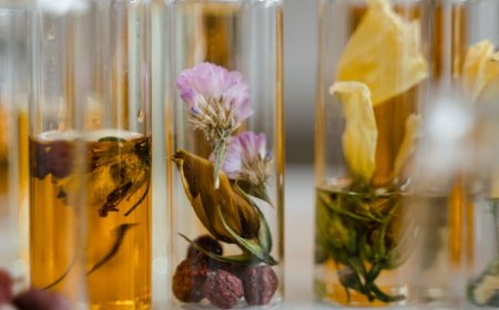 Discovering the Best Online Perfume Store and the Enchanting Aroma of Iris