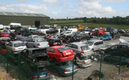 Rust Belt Relics: How Abandoned Cars Tell the Story of Industrial America