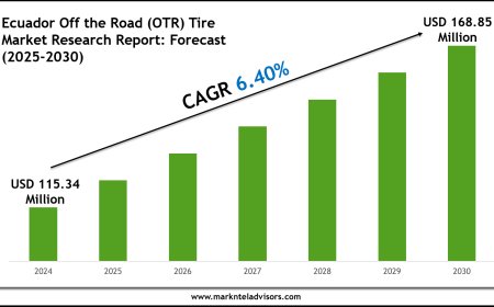 Ecuador Off the Road (OTR) Tire Market Overview 2025–2030: Demand & Future Trends