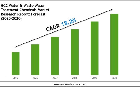 GCC Water & Waste Water Treatment Chemicals Market Overview 2025–2030: Demand & Future Trends