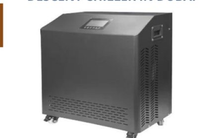 Beat the Heat in Dubai with the Descent Chiller by Wellness UAE