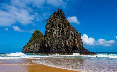 Discover the Services at the Turkish Airlines New York City Office