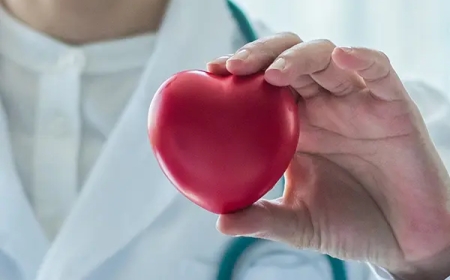 Why It's Critical to Find the Best Cardiologist and Neurologist in Dubai