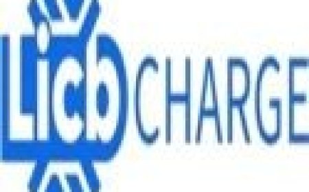 China LiCB AC DC EV Charger Co., Ltd