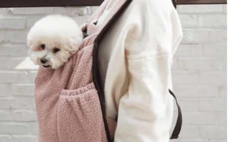 The Ultimate Guide to Choosing the Right Dog Carrier for Your Pet