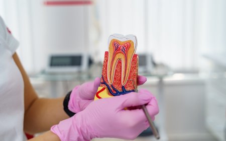 Cost vs. Quality: Is the Best Root Canal Treatment Worth the Investment?