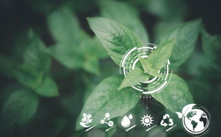 How Environmental Product Declarations Improve Transparency in Supply Chains