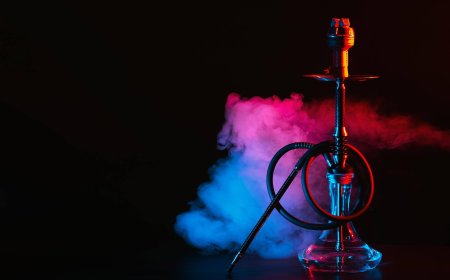 Most Instagrammable Shisha Lounges in Abu Dhabi: Where Aesthetics Meet Flavor
