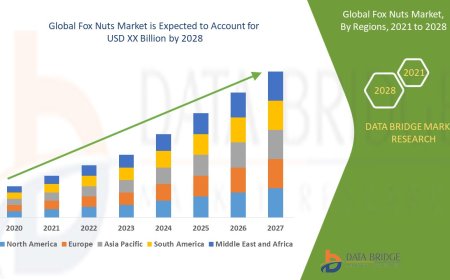 Fox Nuts Market Insights and Growth Trends