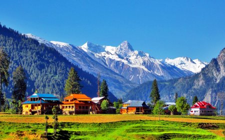 10 Features of a Top-Rated Tour Company