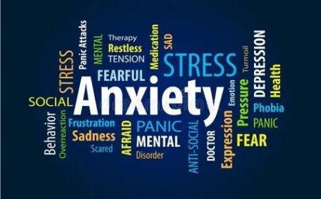 Anxiety Therapy Dallas: What to Expect Sessions
