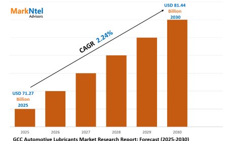 Strategic Insights on GCC Automotive Lubricants Market: Forecast, Size & Trends