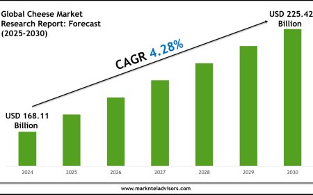 2025–2030 Cheese Market Landscape: Growth, Share & Opportunities