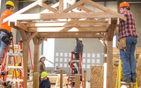 The Role of Professional Carpentry Services in Home Renovation Projects