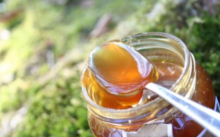 U.S. Honey Market Valued at USD 2.5 B in 2024, Poised to Reach USD 3.65 B by 2030 with 6.50% CAGR: Growing Demand for Natural Sweeteners & Organic Trends