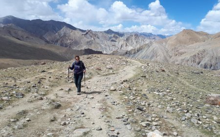 Discover the Adventure of the Markha Valley Trek