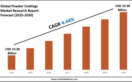 Powder Coatings Market Forecast 2025–2030: Key Players, Trends & Outlook