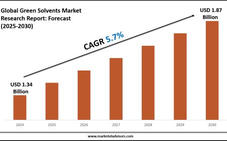 2025–2030 Green Solvents Market Snapshot: Growth, Value & Forecast