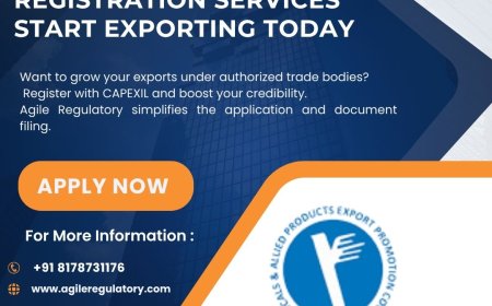 Trusted Consultant for CAPEXIL Membership in Delhi