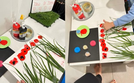 Giving Your Child the Best Start: Choosing a Family Day Care That Feels Like Home