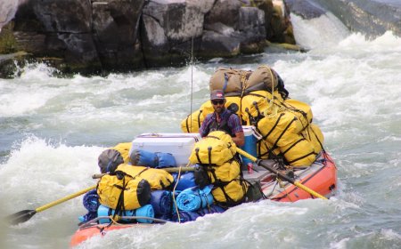 Discover Your Wild Side: Unforgettable Rogue River Adventures Oregon Await