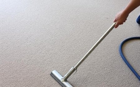 Why You Should Choose Professional Carpet Cleaning in Dubai