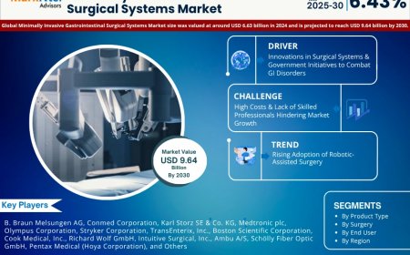 Global Minimally Invasive Gastrointestinal Surgical Systems Market 2025 – Geographical Analysis, Latest Technology, Investment Opportunities, Future Trends and Outlook 2030