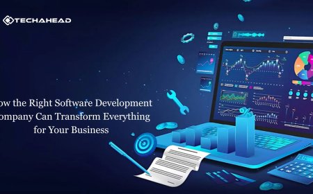 How the Right Software Development Company Can Transform Everything for Your Business