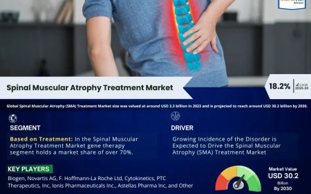 Global Spinal Muscular Atrophy (SMA) Treatment Market 2025 – Geographical Analysis, Latest Technology, Investment Opportunities, Future Trends and Outlook 2030