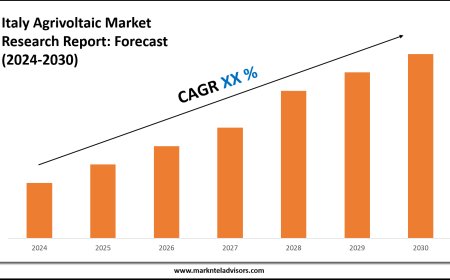 Italy Agrivoltaic Market Size, Competitive Landscape and Outlook 2030