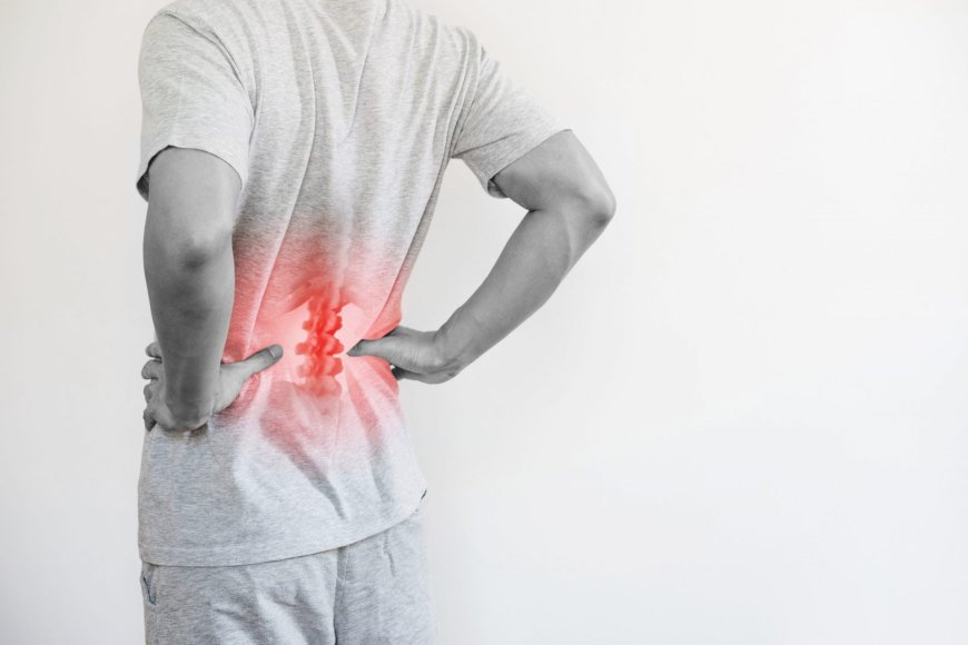 Natural Remedies That Dubai Wellness Coaches Recommend for Lower Back Pain Dubai