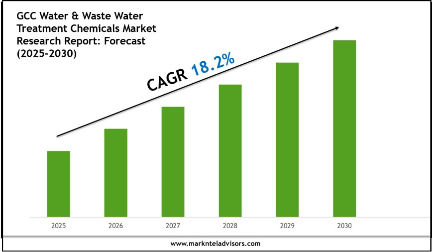 GCC Water & Waste Water Treatment Chemicals Market Overview 2025–2030: Demand & Future Trends