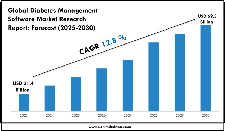 Diabetes Management Software Market Forecast: Growth Drivers & Outlook to 2030