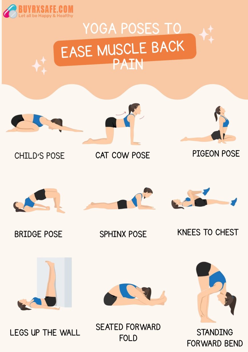 Yoga Poses to Relieve Back Pain Easy Stretches at Home