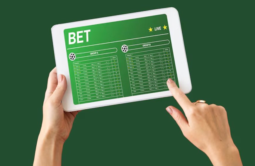 White Label Sportsbook Solution: What Every Person Should Know
