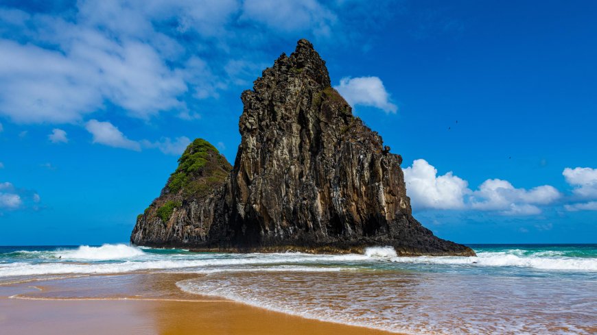 Discover the Services at the Turkish Airlines New York City Office