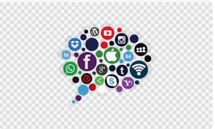 Leading WordPress & SEO Services in Lahore