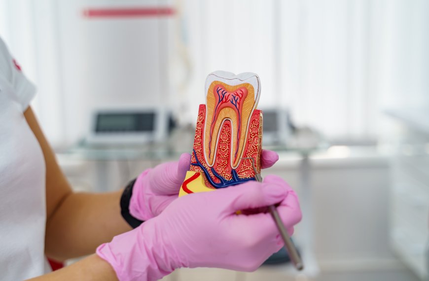 Cost vs. Quality: Is the Best Root Canal Treatment Worth the Investment?