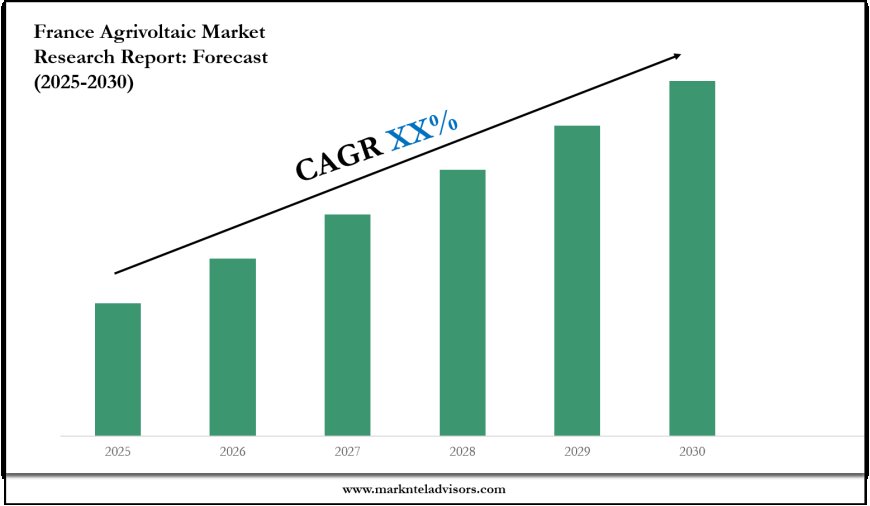 France Agrivoltaic Industry Trends & Forecast: Market Outlook to 2030