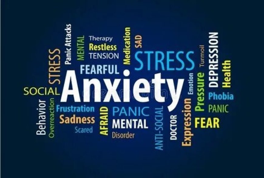 Anxiety Therapy Dallas: What to Expect Sessions