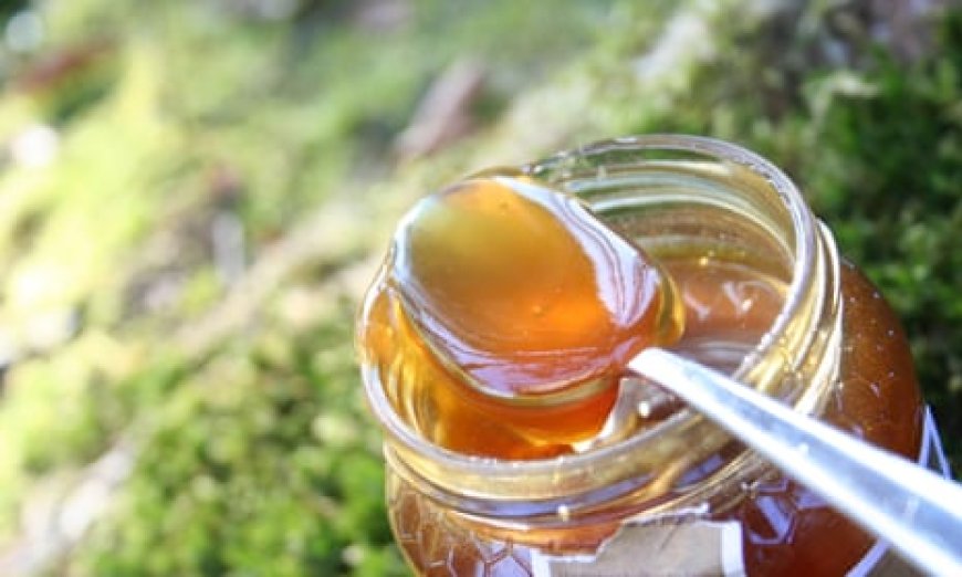 U.S. Honey Market Valued at USD 2.5 B in 2024, Poised to Reach USD 3.65 B by 2030 with 6.50% CAGR: Growing Demand for Natural Sweeteners & Organic Trends