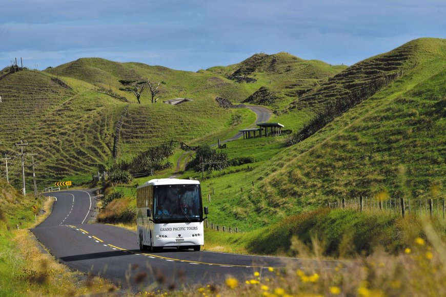 Explore Aotearoa in Comfort with New Zealand Coach Tours