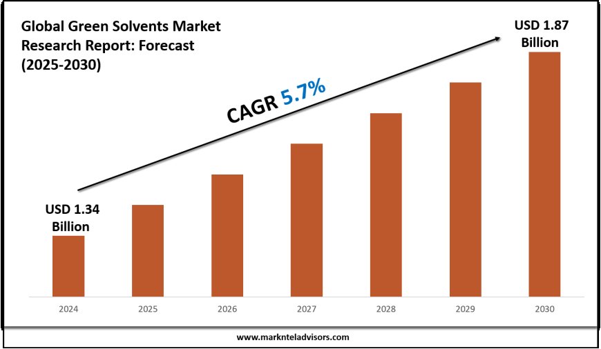 2025–2030 Green Solvents Market Snapshot: Growth, Value & Forecast