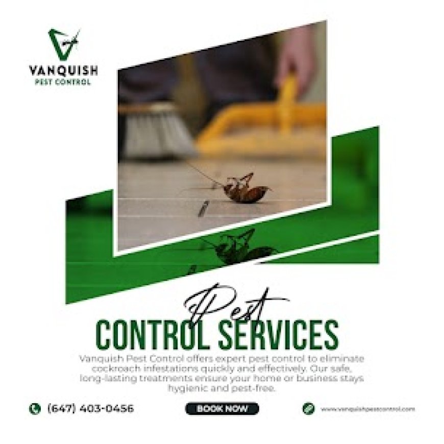 Comprehensive Pest Control Services by Vanquish Pest Control